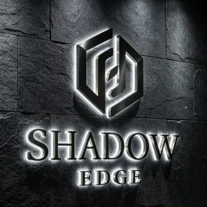 Personalized Logo Gold 3D Acrylic Metal Letters LED Backlit Transformer Signboard for Buildings Outdoor Business Advertising
