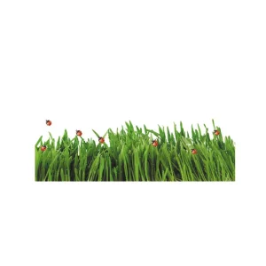 Plants Insects Grass Green Leaves Dew Static Film Sticker Window Stickers Non-Adhesive Glass Sticker Electrostatic Film Decals