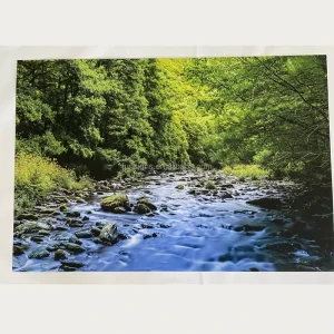 Premium Wall Art Poster CMYK Full Color Printing Poster