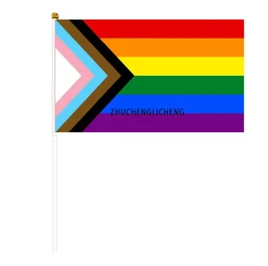 Progress Hand Flag Rainbow Mini Flags Rainbow Pride Flags on Stick Handheld Pride Flags Cheering Hand Held Waving Flag