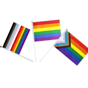 Progress Pride Rainbow Stick Flag 8.2 X 5.5 Inch Small Handheld Rainbow Flag Mini LGBT Flag Bunting for LGBT Parades