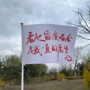 Promotion Advertising Logo World Custom Eco Friendly Polyester Waterproof Hand Flags Plastic Pole Mini Waving Flag