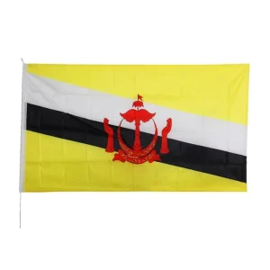 Promotional Outdoor Polyester National Flags