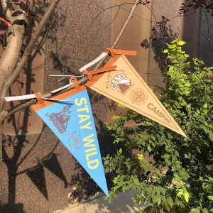 Ready Ship 3D Different Color DIY Custom Nylon Pennant Flag Sublimation Blank Acrylic Flagpole Small Flag Elastic