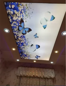Rectangle Aluminum Frame LED Light Boxes with Stretch PVC Soft Film False 3D Digital Printing