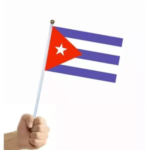 Small Hand Waving Flag Handheld Stick Flag Wooden Stick