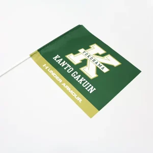 Small Mini Handheld Stick Flag Hand Held Waving Flag With Plastic or Wood Pole Customizable 100% Polyester Custom Logo Flag
