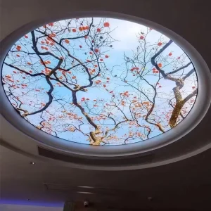 Soft Film Ceiling Lamp Membrane Class Fireproof High Definition UV Soft Film Lightbox Custom Made Decorative High Brightness LED