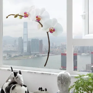 Static Electricity Window Sticker Flower Double Side Printed Static Cling Glass Sticker Window Decals
