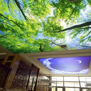 Supplier Decorative Films Room Art Printed Film for 3D Light Ceiling Design for Home Ceiling