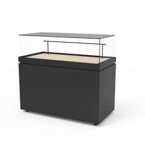 Tempered Glass Showcase Automatic Door Exhibition Stand Display for Museum Wall Mounted Showcase