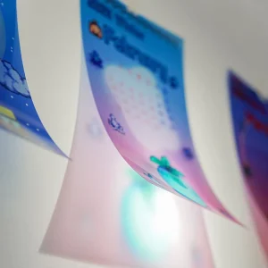 UV Film Digital Printing Screen Plate Positive Film