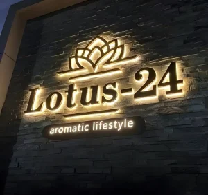 UV Printed Acrylic LED Neon Signage 3D Letter Logo Wall Sign with Metal Lighting for Cars and Company Use