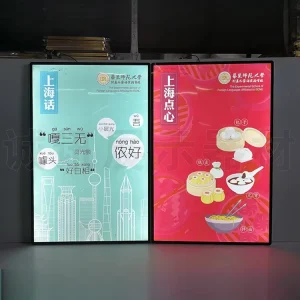Ultra Slim LED Light Box Customizable Rectangular Menu Board Magnetic Hanging Function Restaurant Store Display Mall Company Use