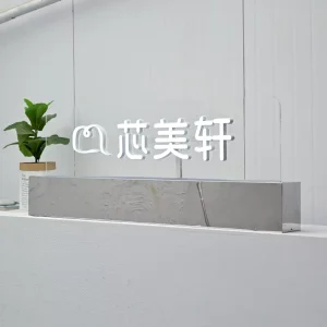 Vertical Transparent Acrylic Billboard Mini Luminous Letters logo Stainless Steel Base