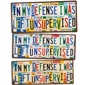 Vintage Immense Blessing Metal License Plate Tin Sign Rustic Funny Metal Sign Old Fashioned Country Garage Wall Decor Metal Sign
