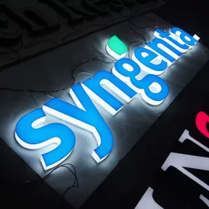 Waterproof Mini Borderless Frontlit Letter Custom 3D LED Acrylic Sign Outdoor Shop Illuminated Logo Letter